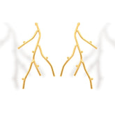 Aretes de coral vista frontal